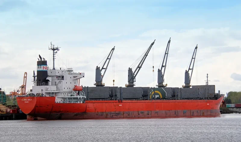 GLOBAL GOLD Bulk Carrier IMO 9614359 photo 8