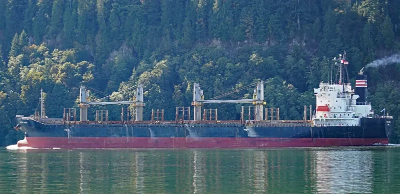 GLOBAL GOLD Bulk Carrier IMO 9614359 photo 9
