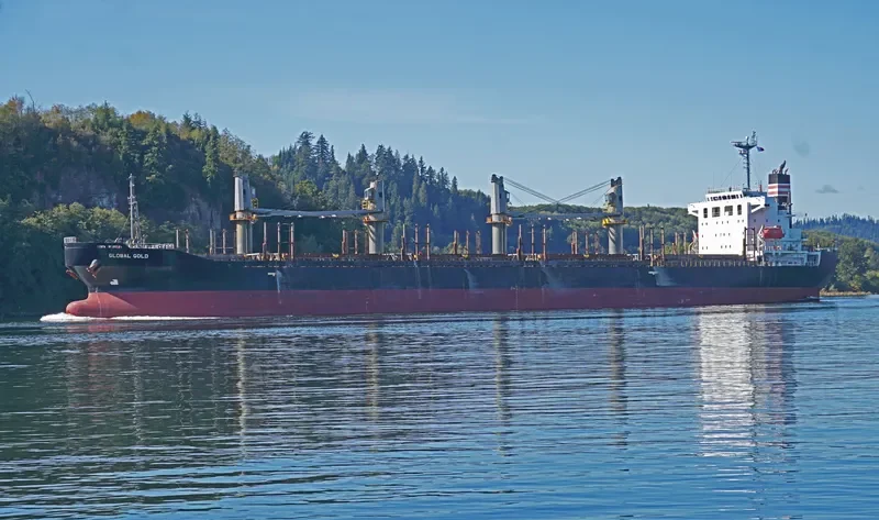 GLOBAL GOLD Bulk Carrier IMO 9614359 photo 10