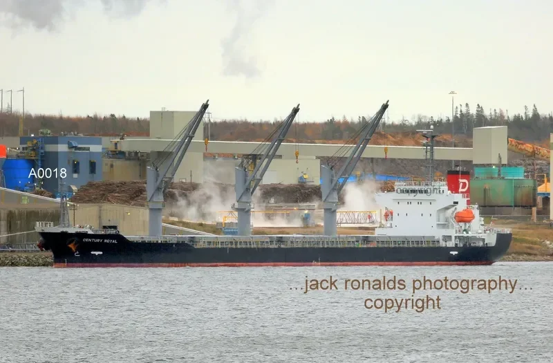 CENTURY ROYAL Bulk Carrier IMO 9614385 photo 2