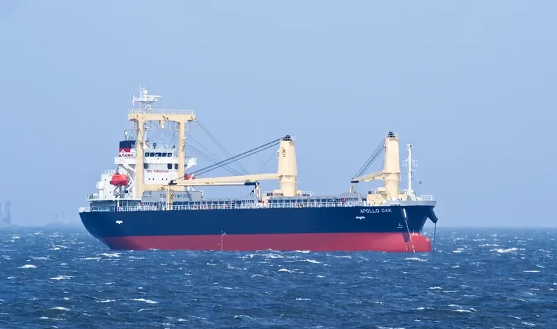 APOLLO OAK General Cargo IMO 9614402 photo 3
