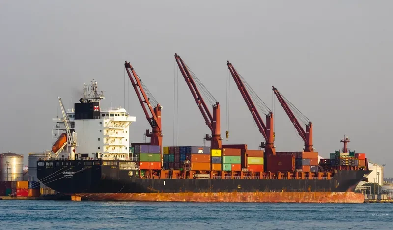 PORT VILA CHIEF Container Ship IMO 9614488