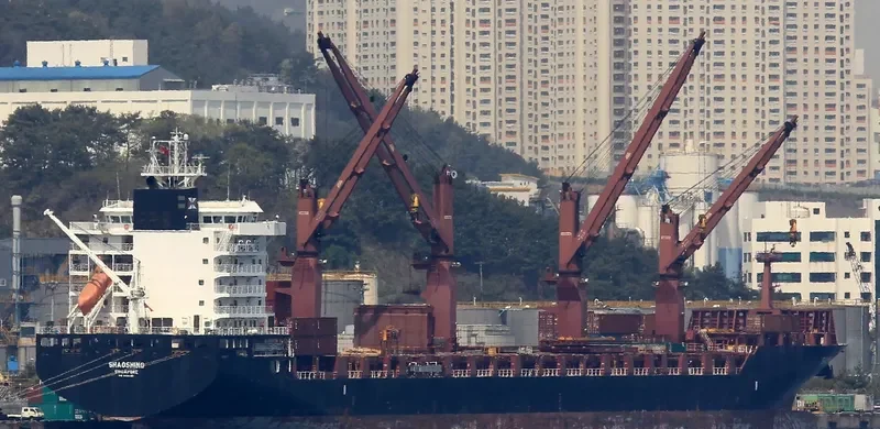 TONGA CHIEF Container Ship IMO 9614490