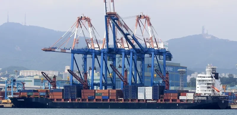TONGA CHIEF Container Ship IMO 9614490 photo 5