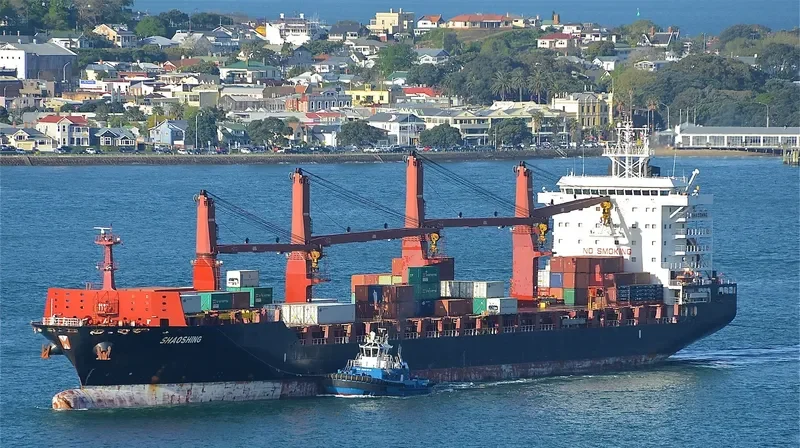 TONGA CHIEF Container Ship IMO 9614490 photo 6