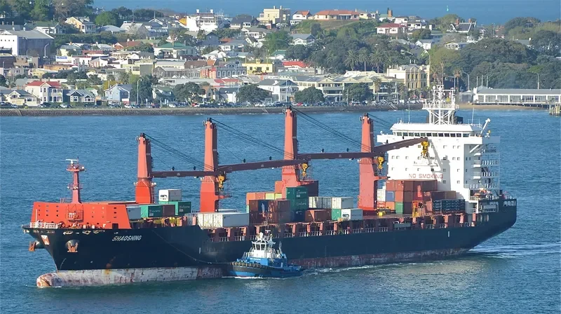 TONGA CHIEF Container Ship IMO 9614490 photo 7