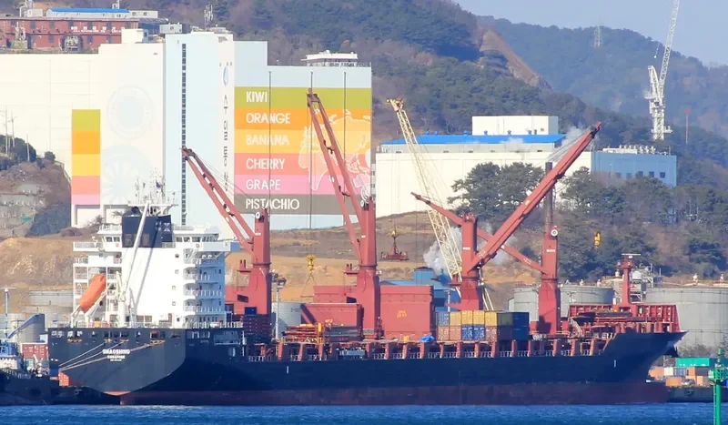 TONGA CHIEF Container Ship IMO 9614490 photo 8