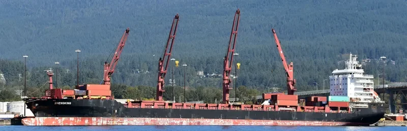 KIRIBATI CHIEF Container Ship IMO 9614505 photo 5