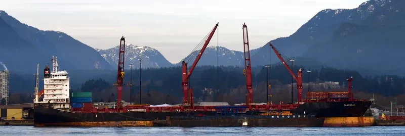 SIANGTAN Container Ship IMO 9614529