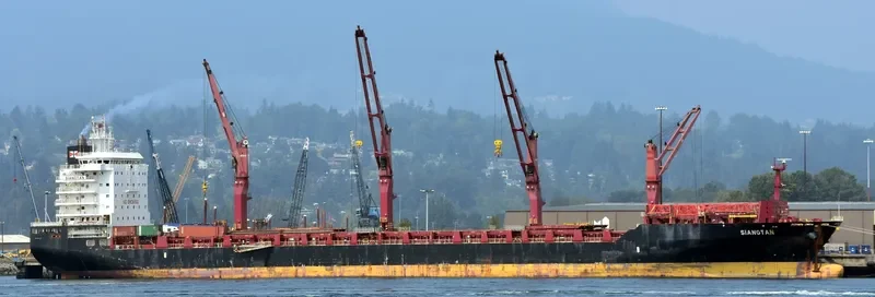 SIANGTAN Container Ship IMO 9614529 photo 4