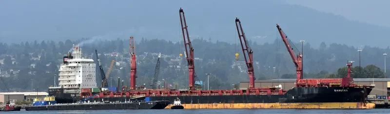 SIANGTAN Container Ship IMO 9614529 photo 5