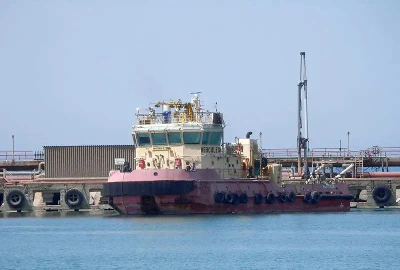 HERCULES General Cargo IMO 9614579 photo 5