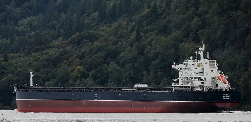 PABAL Bulk Carrier IMO 9614842 photo 2