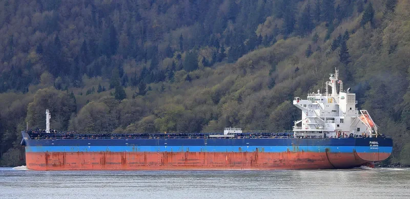 PABAL Bulk Carrier IMO 9614842 photo 5