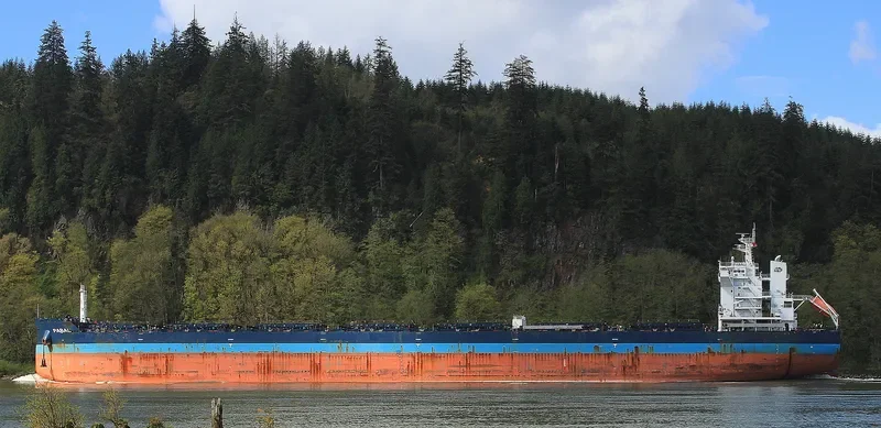 PABAL Bulk Carrier IMO 9614842 photo 6