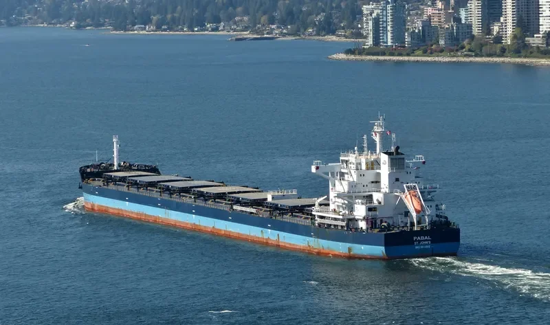 PABAL Bulk Carrier IMO 9614842 photo 10