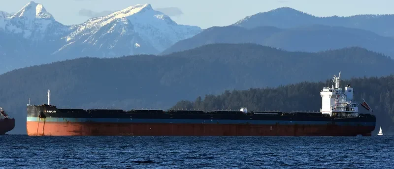 PABUR Bulk Carrier IMO 9614854 photo 7