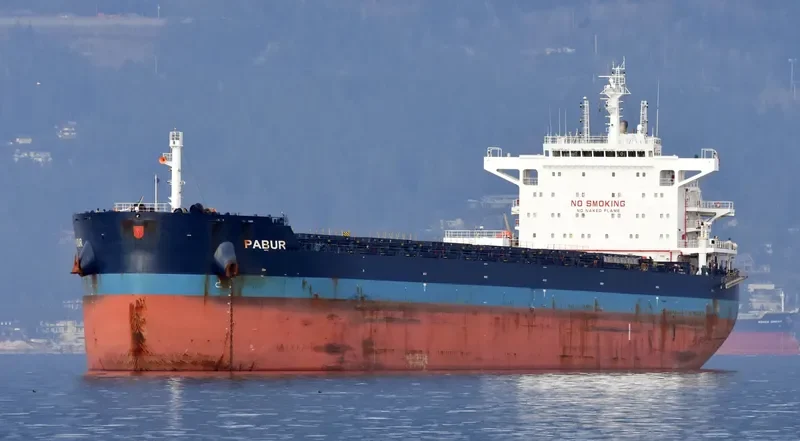 PABUR Bulk Carrier IMO 9614854 photo 8