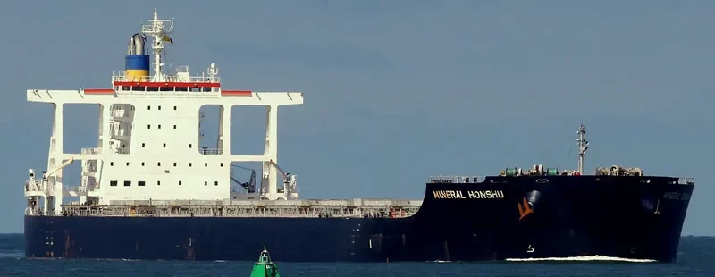 MINERAL HONSHU Bulk Carrier IMO 9614892 photo 2