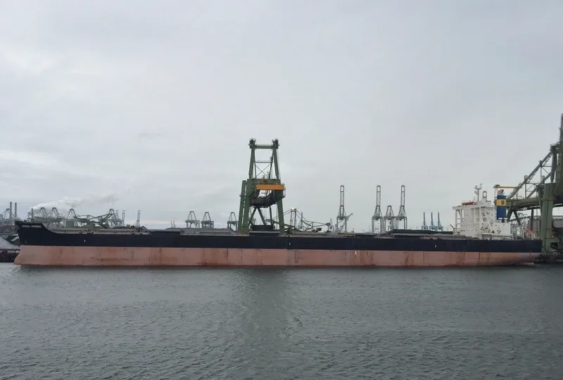 MINERAL HONSHU Bulk Carrier IMO 9614892 photo 3
