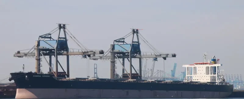 MINERAL HONSHU Bulk Carrier IMO 9614892 photo 4