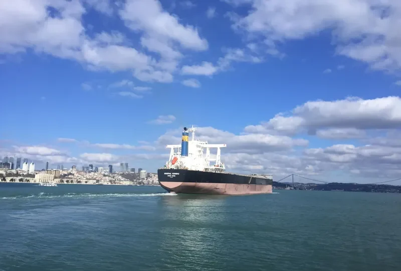 MINERAL HONSHU Bulk Carrier IMO 9614892 photo 6