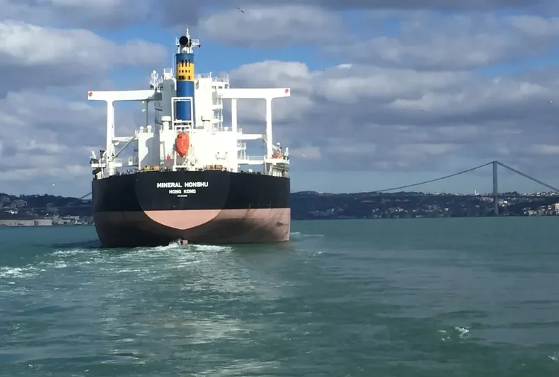 MINERAL HONSHU Bulk Carrier IMO 9614892 photo 7