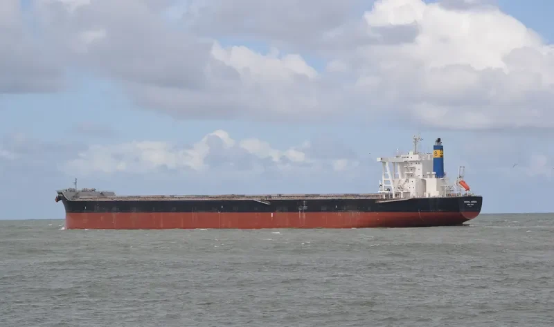 MINERAL HONSHU Bulk Carrier IMO 9614892 photo 9