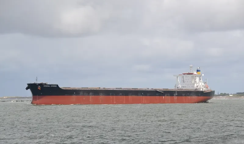 MINERAL HONSHU Bulk Carrier IMO 9614892 photo 10