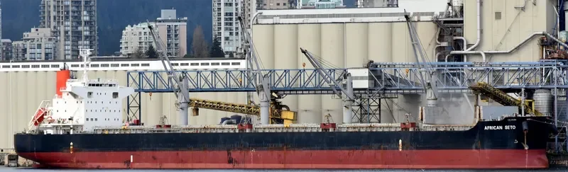 AFRICAN SETO Bulk Carrier IMO 9614983 photo 4