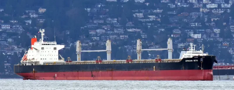 AFRICAN SETO Bulk Carrier IMO 9614983 photo 6