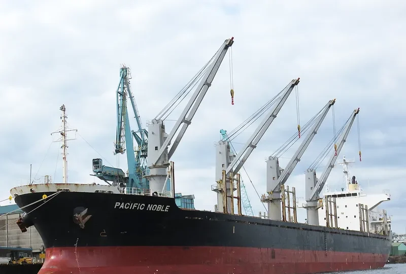 PACIFIC NOBLE Bulk Carrier IMO 9615066 photo 2