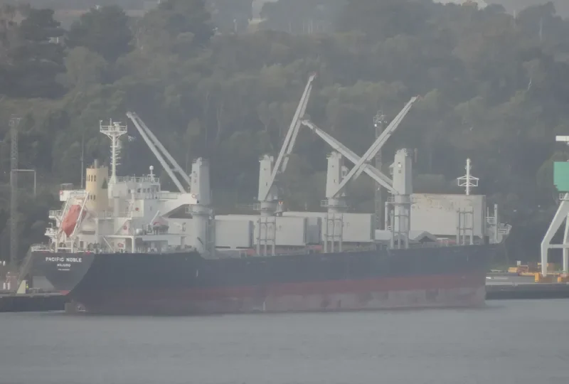 PACIFIC NOBLE Bulk Carrier IMO 9615066 photo 6