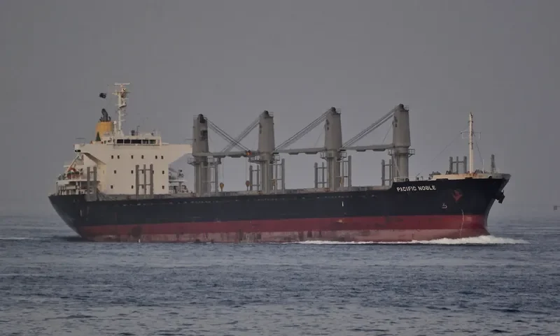 PACIFIC NOBLE Bulk Carrier IMO 9615066 photo 10