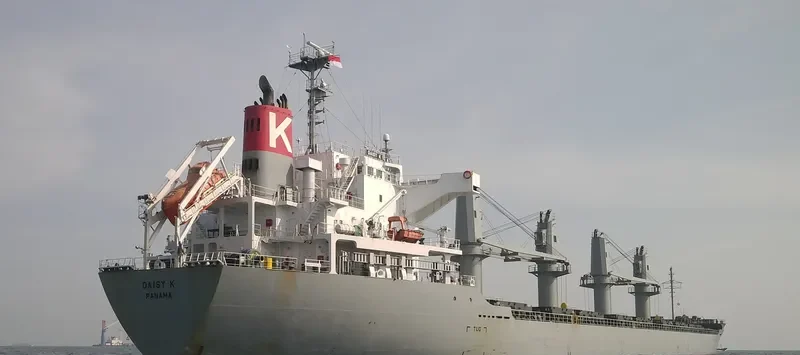 GOLD DUST Bulk Carrier IMO 9615078 photo 5