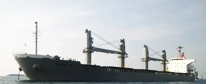 GOLD DUST Bulk Carrier IMO 9615078 photo 6