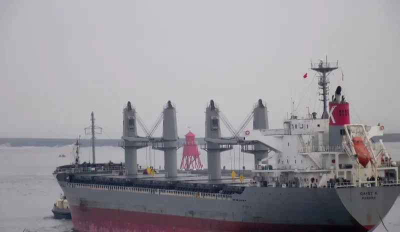 GOLD DUST Bulk Carrier IMO 9615078 photo 9