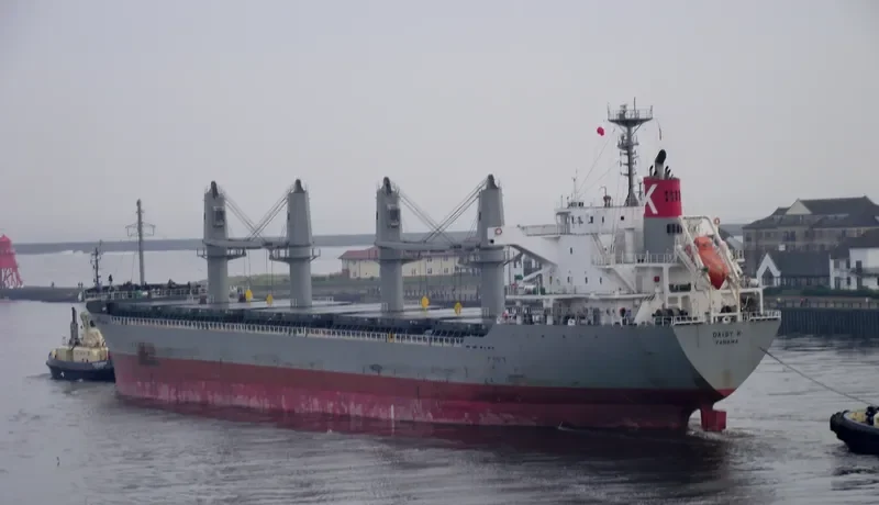 GOLD DUST Bulk Carrier IMO 9615078 photo 10