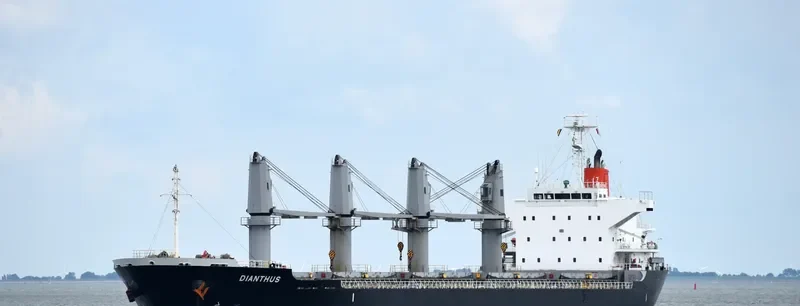 DIANTHUS Bulk Carrier IMO 9615080 photo 3