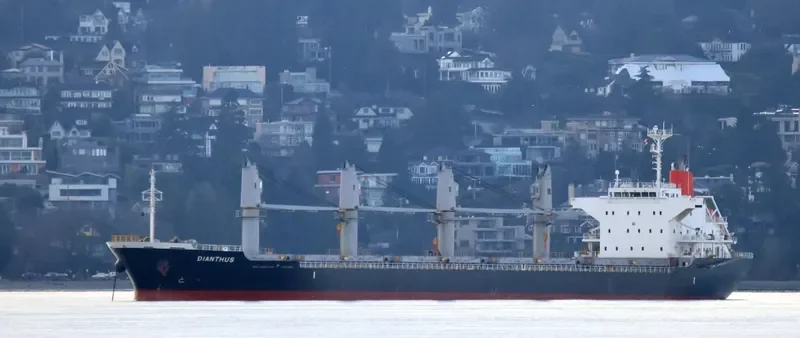 DIANTHUS Bulk Carrier IMO 9615080 photo 5