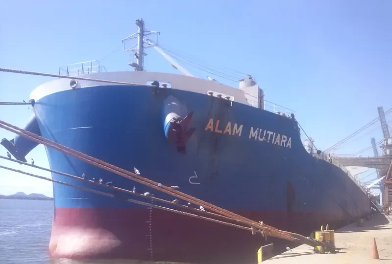 MUTIARA Bulk Carrier IMO 9615169