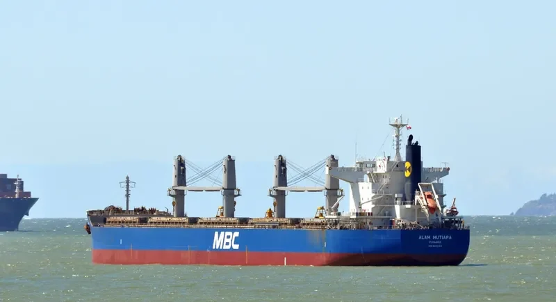 MUTIARA Bulk Carrier IMO 9615169 photo 4