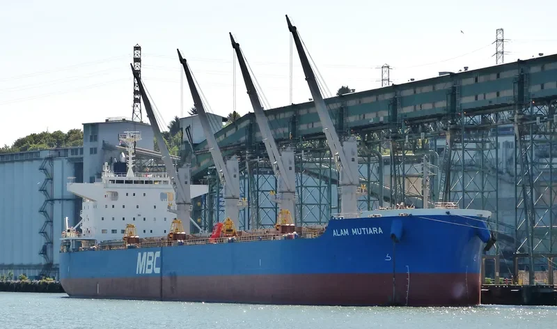 MUTIARA Bulk Carrier IMO 9615169 photo 7
