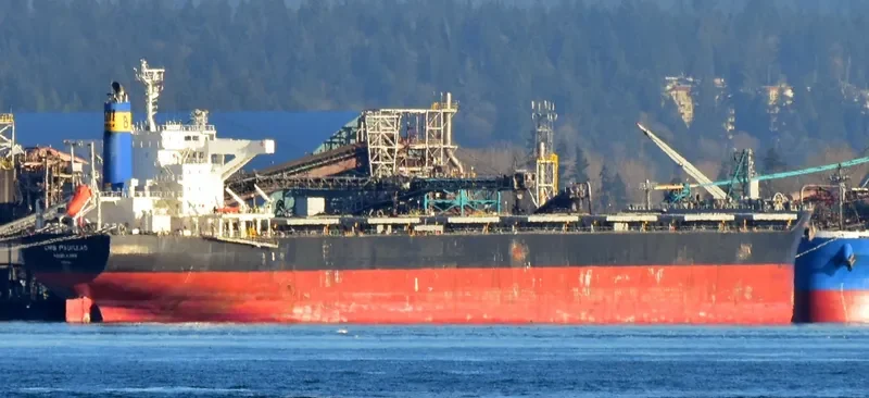 CMB PAUILLAC Bulk Carrier IMO 9615183 photo 2