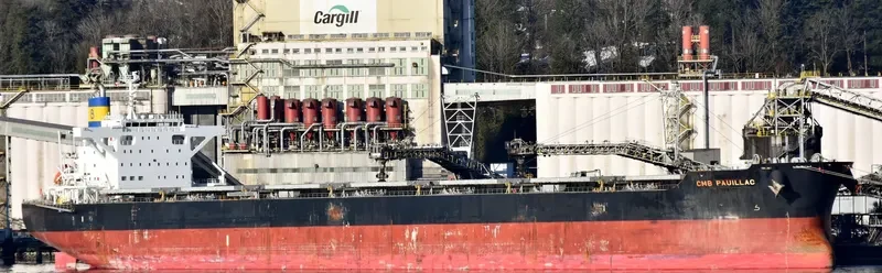 CMB PAUILLAC Bulk Carrier IMO 9615183 photo 3