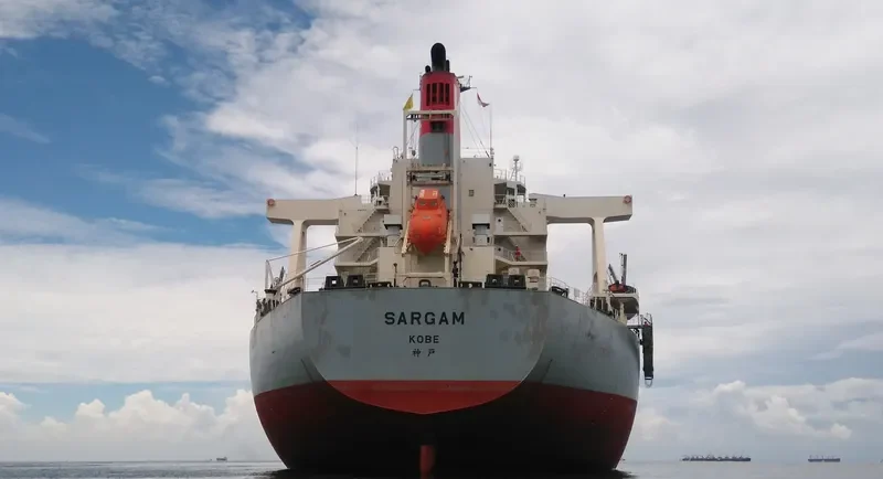 SARGAM Bulk Carrier IMO 9615195 photo 3