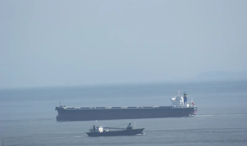 KM NAGOYA Bulk Carrier IMO 9615212 photo 3