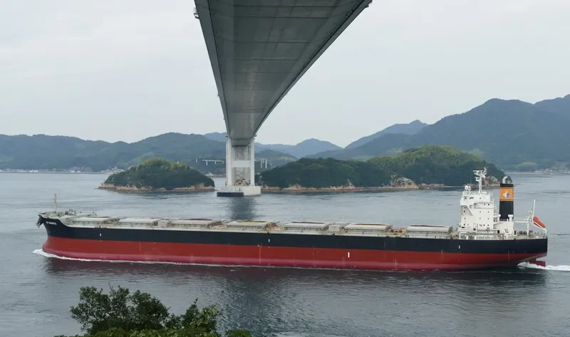 KM NAGOYA Bulk Carrier IMO 9615212 photo 9