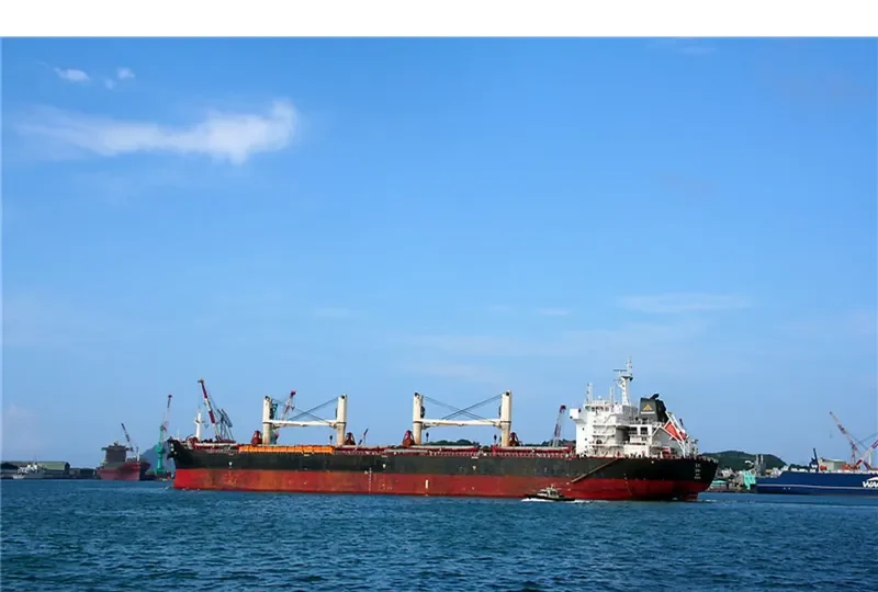 MELATI LAUT Bulk Carrier IMO 9615315 photo 4