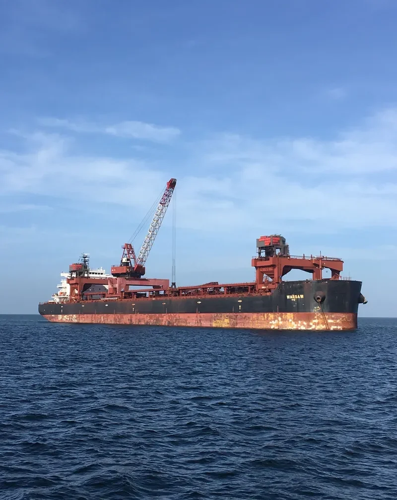 WARSAW Bulk Carrier IMO 9615389 photo 4